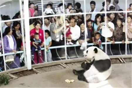 天津动物园爆料视频网红,萌态可掬引网友热议  第2张